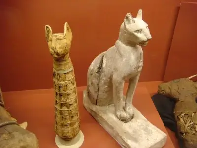 Cat In Egyptian. Ancient-Egyptian-Cats-