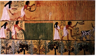 ancient-egyptian-farming Culture