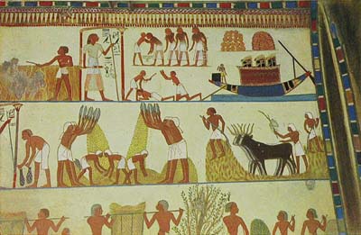 ancient-egyptian-farming